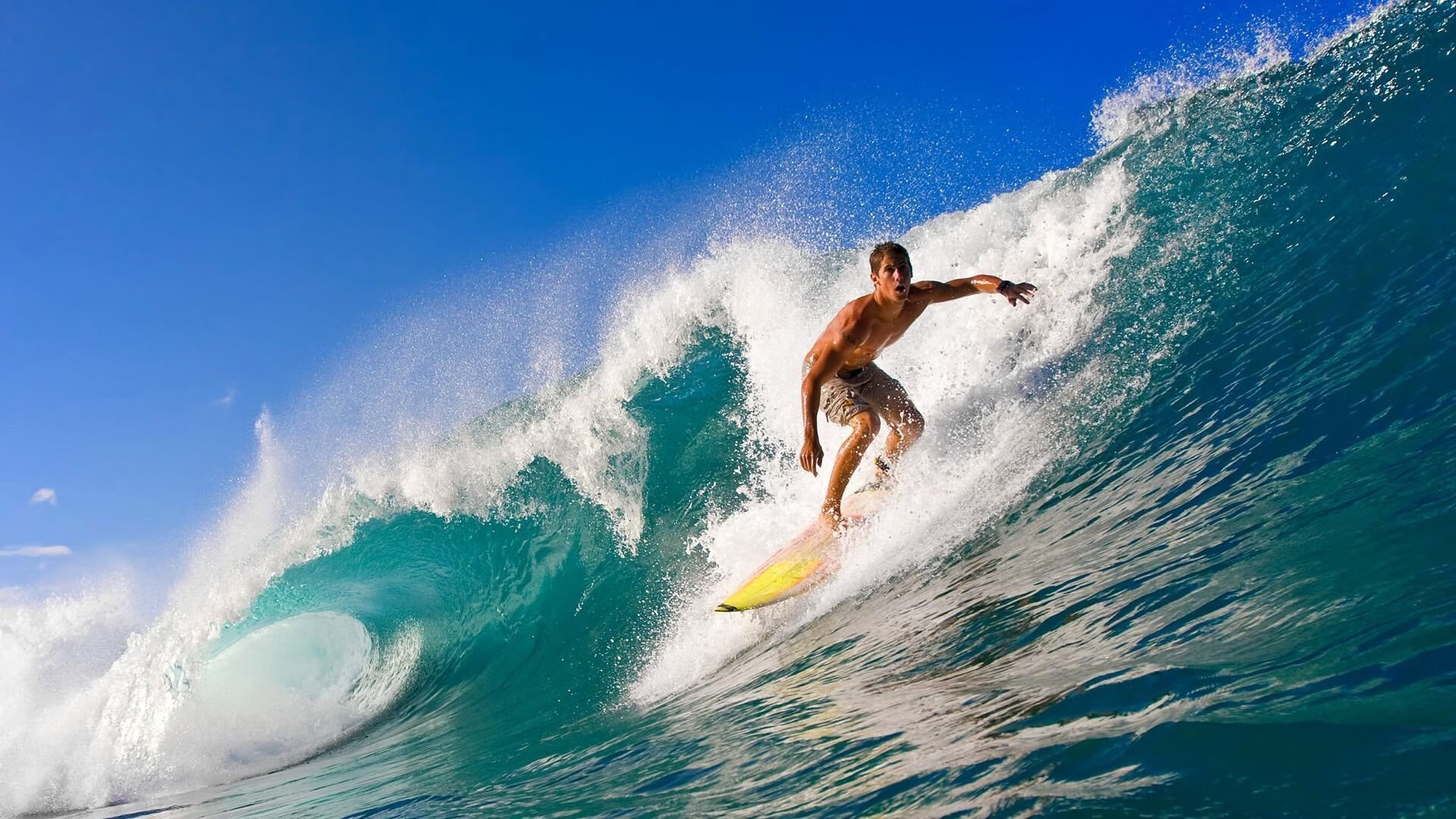 xingkong-意甲新星崭露头角，迎来职业生涯巅峰，意甲球星